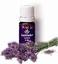 lavender1.jpg 