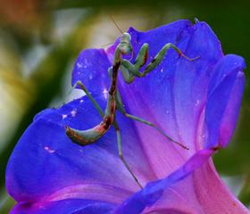  by Alaskan Photo Tours & Workshops Soldotna 99669 