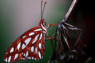  by Alaskan Photo Tours & Workshops Soldotna 99669 