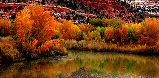 Zion at Peace by Alaskan Photo Tours & Workshops Soldotna 99669 