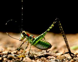  by Alaskan Photo Tours & Workshops Soldotna 99669 