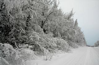 Skilak Loop  1-11-08 by Alaskan Photo Tours & Workshops Soldotna 99669 