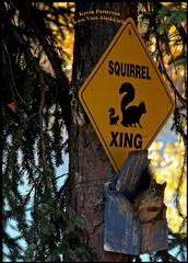  by Alaskan Photo Tours & Workshops Soldotna 99669 