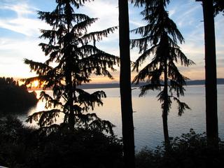 Treemendous Plantworks - Bellingham, WA