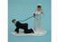 Weddings On A Short Leash