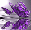 Elegant Designs by Nancy