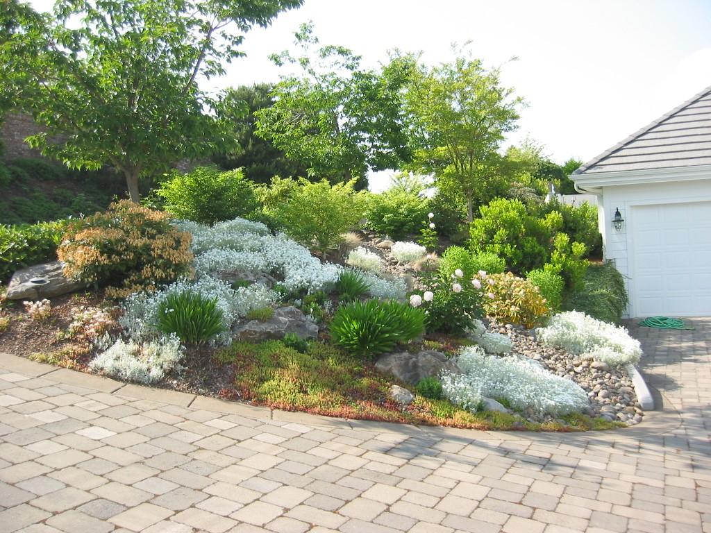 Rock Garden Design Ideas
