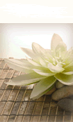  by Temecula Med Spa Temecula 92591 