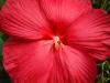  by Temecula Med Spa Temecula 92591 