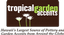 Tropical Garden Accents