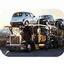 Moonlite Auto Transport