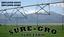 Sure Gro Turf