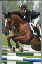 Provided by Bridlewood Equestrian, Oklahoma City 