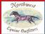 Northwest Equine Outfitters