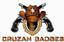 Cruzan Badges