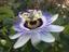 Provided by laura's massage at rogue river massage therapy, Rogue River 