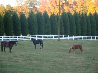 Hi C Farms Llc - Clover, SC