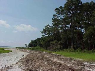 Real Estate Professionals - Ladys Island, SC