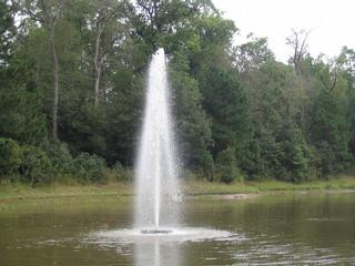 Absolute Aquatics - Walker, LA