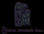 Raven Electric Inc