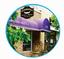 Tammy  L Meister DDS MS PA DDS