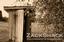 ZackShack Photography & Videography
