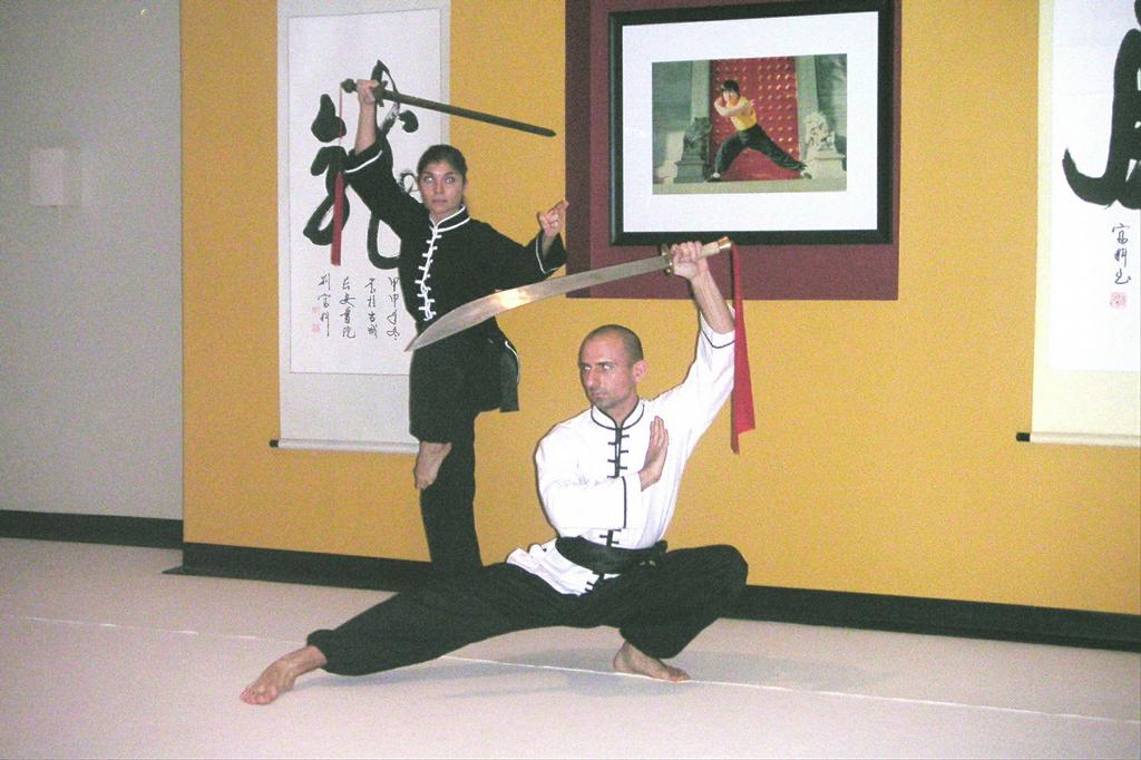 kung fu shaolin kung fu shaolin