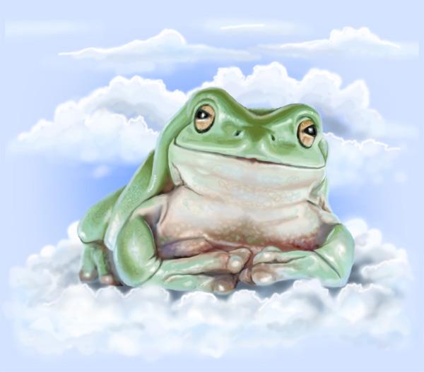 FrogNirvana