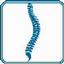 Spine Associates of Beaumont