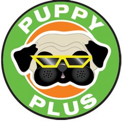 puppies plus parkland puppy plus boca pompano fl 33073 954 753 1333 cat grooming puppies plus parkland puppy plus boca pompano fl 33073 954 753 1333 cat grooming