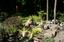 Barnhardt Landscaping