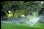 Another Lawn Sprinkler Company