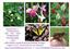 Provided by "HOLDSTILL!" Productions Small Business Website Design, Hanover 
