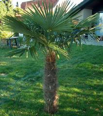 Krygier's Nursery South - Burlington, NJ