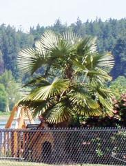 Krygier's Nursery South - Burlington, NJ