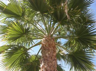 Krygier's Nursery South - Burlington, NJ