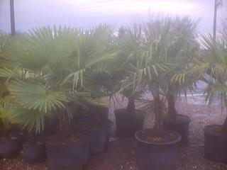 Krygier's Nursery South - Burlington, NJ