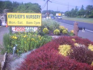 Krygier's Nursery South - Burlington, NJ