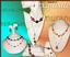 Floris Treasures fine gifts
