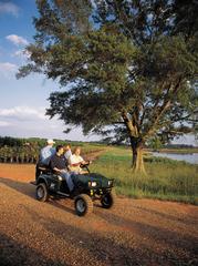 vineyard -4 people.jpg