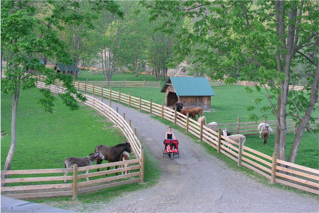 Farmland Animal Park Chemung NY 14825 6075293371