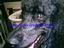 Provided by Connie's Pet Grooming, Saint Joseph 