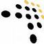 JSC Marketing, LLC