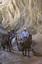 Provided by Capitol Reef Backcountry Outfitters, Torrey  