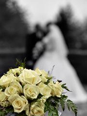  by Star Image Photo Portland 97281 