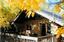 Alaska Mountainview Cabin
