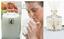 Gold Canyon Candles ~ Body ~ Home US and CANADA