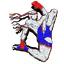 mercCrcCouponPic.jpg provided by Dragonfly Muay Thai Plainfield 46168 