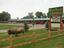 Chama River Bend Lodge