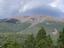 Cash-Only Bail Bonds; Flagstaff,...